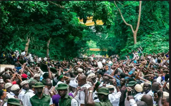 Ogun Residents Troop To See Mystery Tree With Arabic Inscription Believe To Be Allah’s Name..